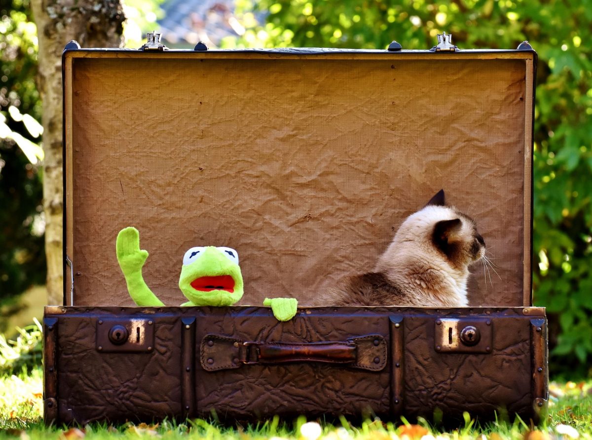 viajar-con-niños