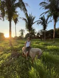 Eastern-Plains-of-Colombia