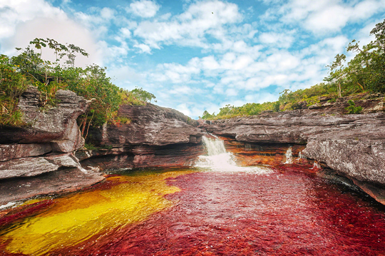 caño cristales 3 caño cristales caño cristales el rios de colores