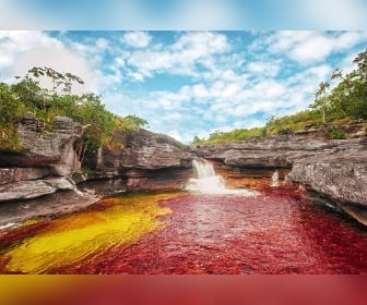 Safari Llanos Orientales Colombia 8 Safari Llanos Orientales Colombia tour cano cristales 336x280 1